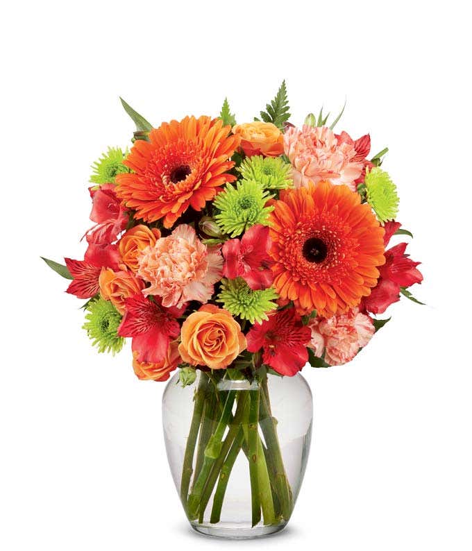 A bold floral arrangement featuring orange roses, orange gerbera daisies, red alstroemeria, and green button poms, all beautifully arranged in a glass vase. This vibrant mix offers a striking and energetic display.