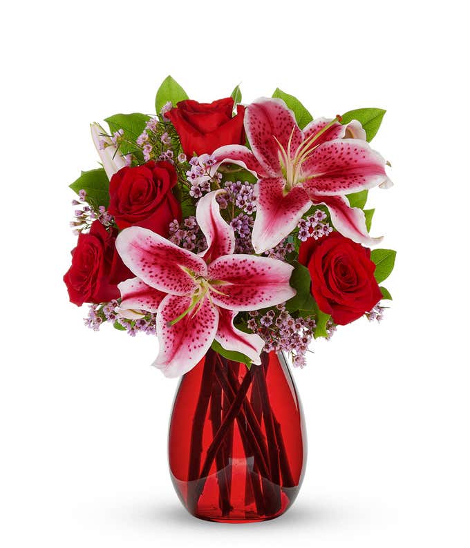 A striking arrangement featuring red roses, stargazer lilies, waxflower, and seasonal greens, elegantly presented in a red cylinder vase. This bold and vibrant display is perfect for adding a touch of elegance and passion to any occasion.