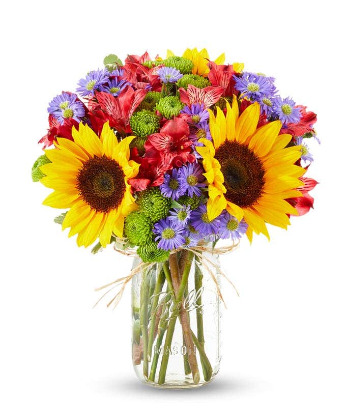 A bouquet of sunflowers, pink roses, red alstroemeria, green poms, and purple asters in a clear mason jar.