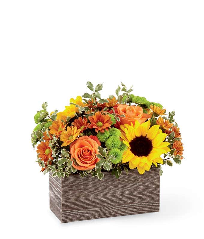 Fall flower arrangement with orange roses, yellow sunflowers, bronze daisies, green button poms, and variegated greenery in a rectangular wood-textured container.