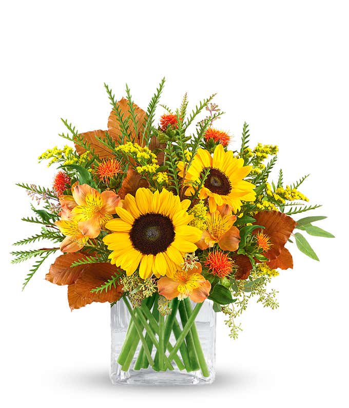 Fall bouquet with sunflowers, orange roses, yellow-orange alstroemeria, safflower, solidago, and seasonal greenery arranged in a clear glass cube vase with autumn oak leaves.