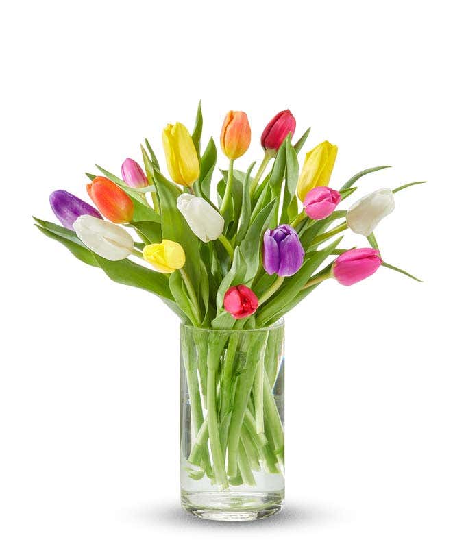 Assorted tulips in a clear vase.