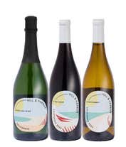 Alternative image 1 for A gift box with three bottles of California wine (red, white, and sparkling), two types of cheese, crackers, stone-ground mustard, and a summer sausage.