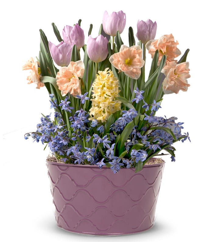 Perfect Pastel Spring Bulb Garden at From You Flowers