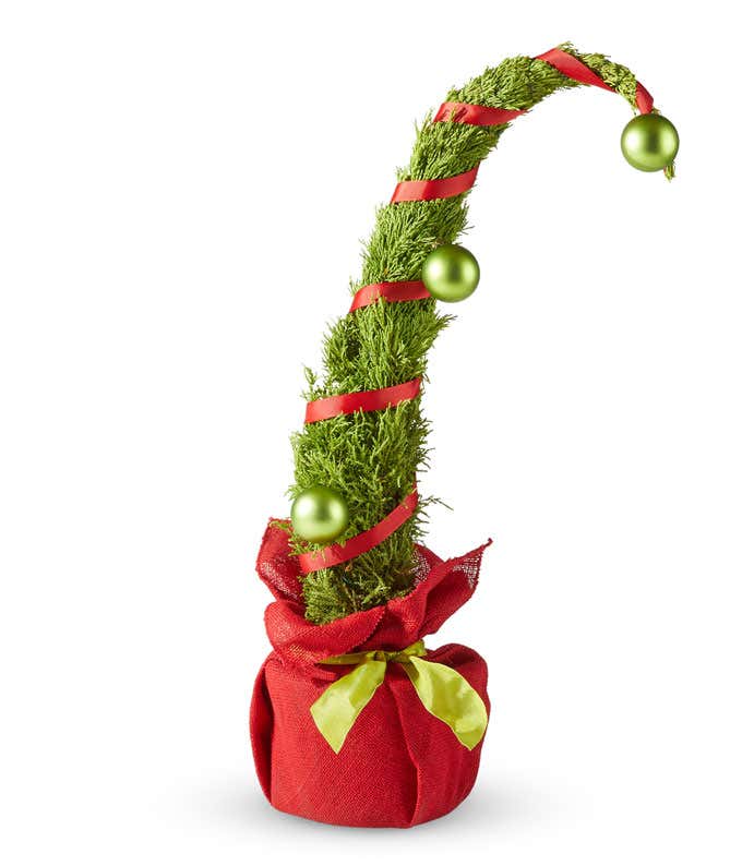 Curved, green cypress tree decorated with red ribbon spiraling around the branches and three green ornaments. The tree is wrapped at the base in a red fabric with a yellow-green bow, giving a whimsical, holiday-inspired look.