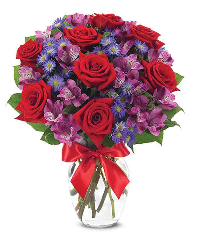 红玫瑰与紫色的阿斯特罗和蒙特卡西诺排列在一起。