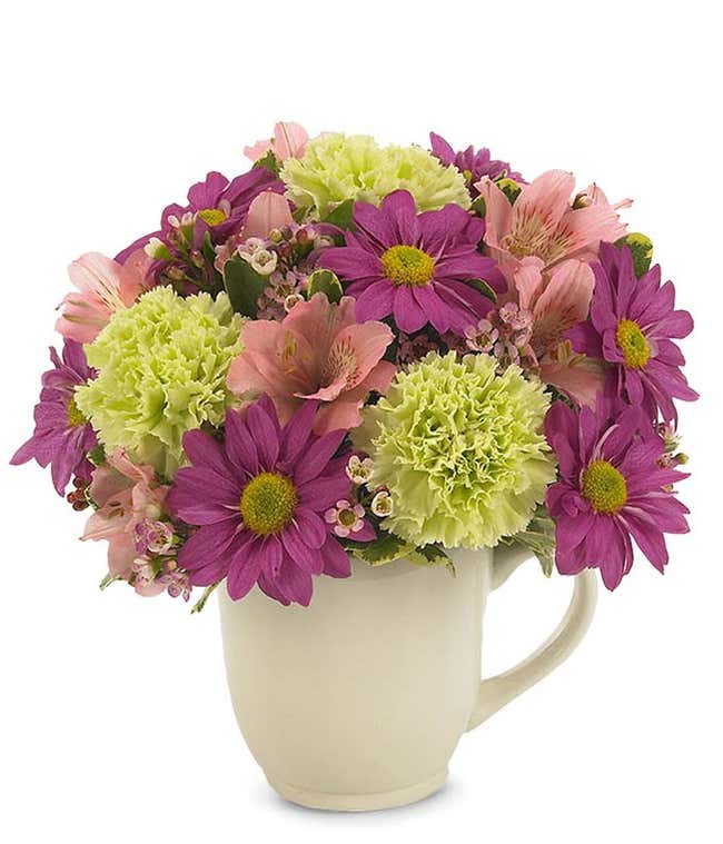 Purple daisies and green poms delivered in reusable mug