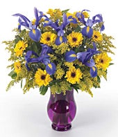 The Iris and Sunshine Bouquet