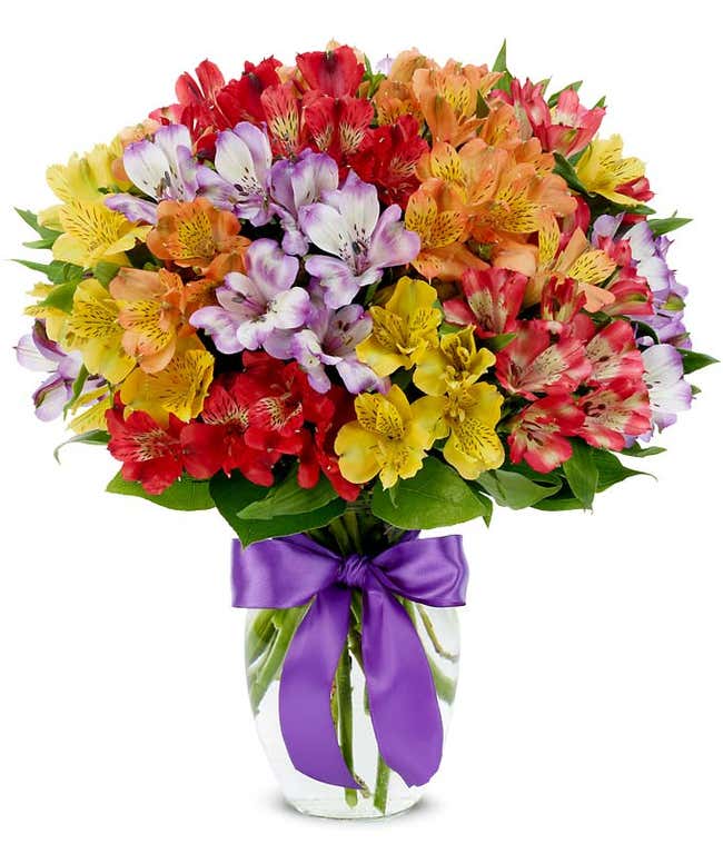 Bright variety of flowers online with red, orange, and yellow flowers