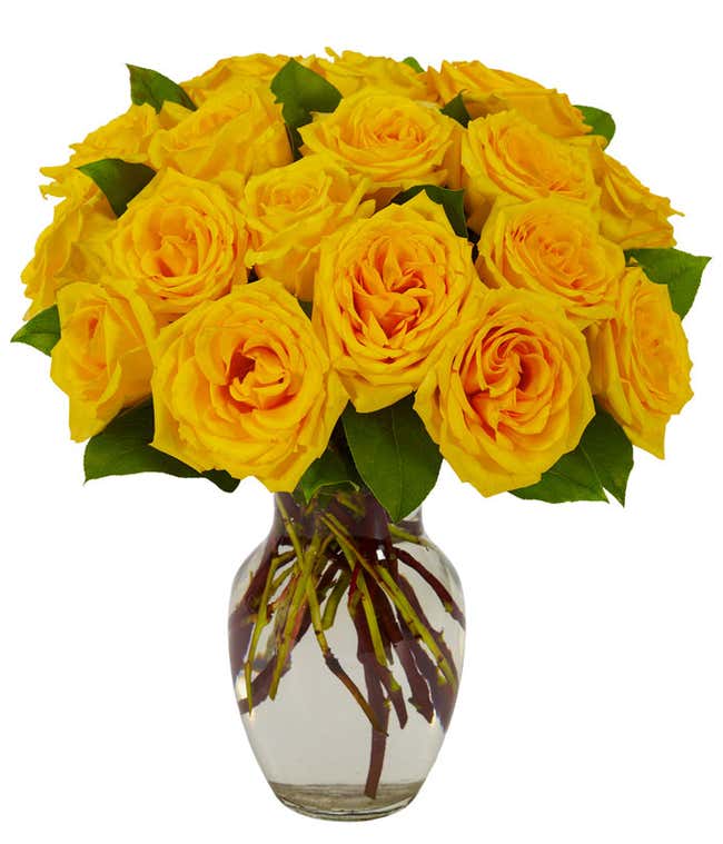 Long stemmed Yellow roses in a glass vase