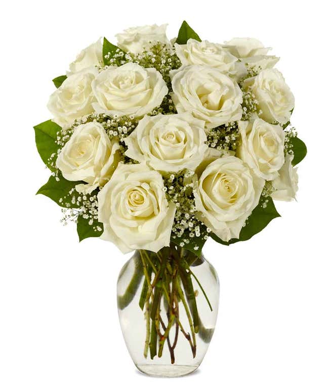 One dozen white roses with gypsophila in vase