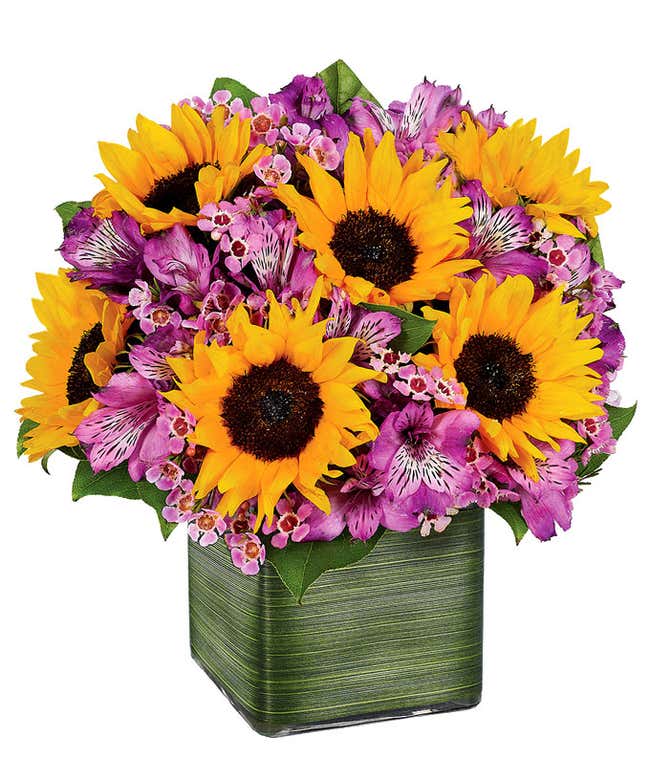 Sunflower Bouquet Sunflower Delivery FromYouFlowers