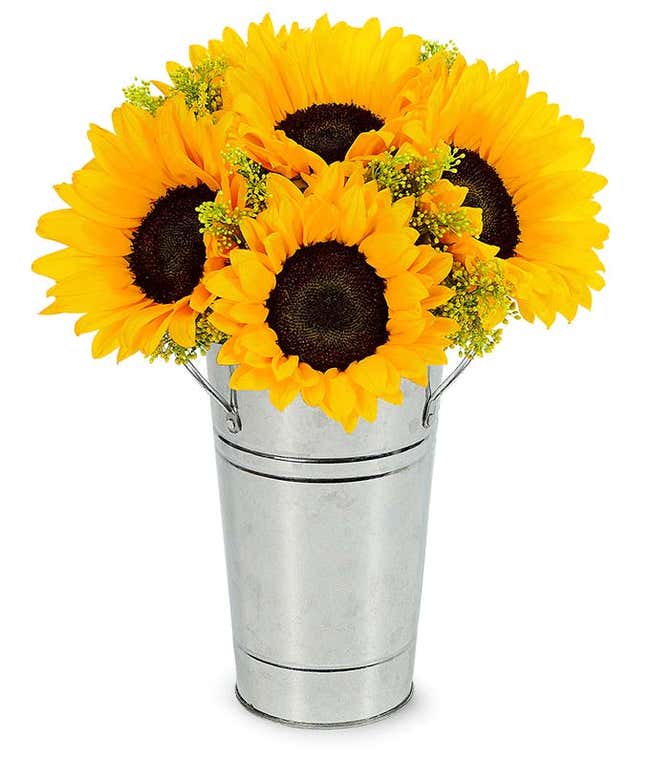 Sunflowers in a Galvanized Tin  