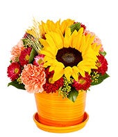 Sweet Sunflower Bouquet