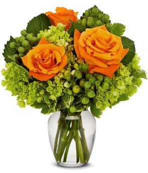Hydrangea Flowers | Hydrangea Plants | FromYouFlowers