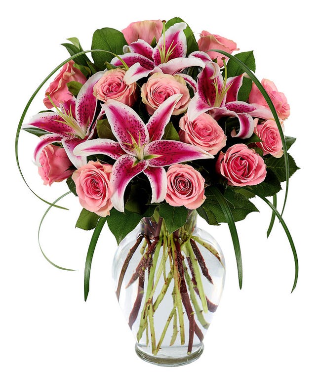 stargazer lily delivery
