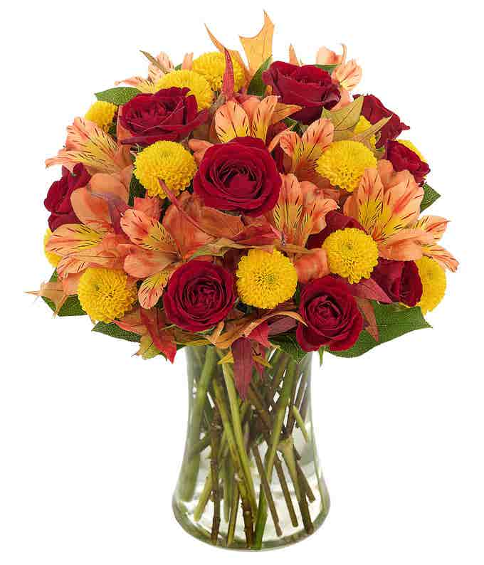 One Dozen Orange Roses at From You Flowers