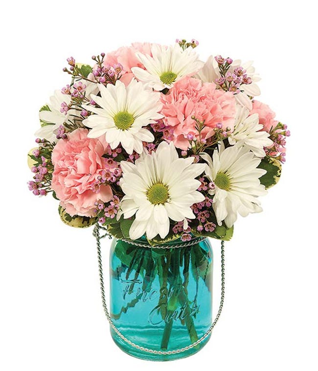 Carnation Delivery FromYouFlowers 2