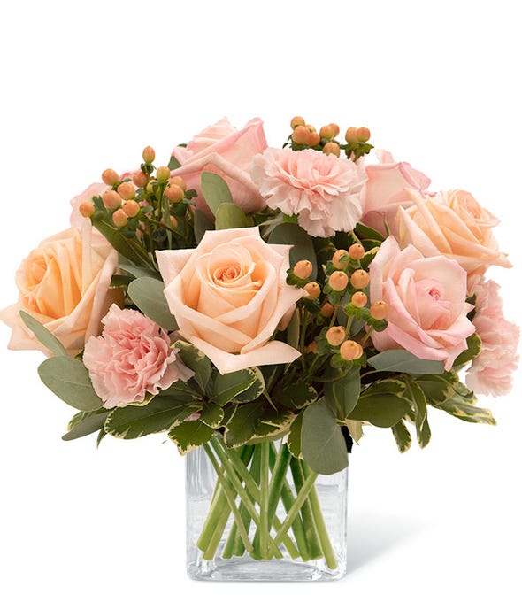 Carnation Delivery FromYouFlowers 2