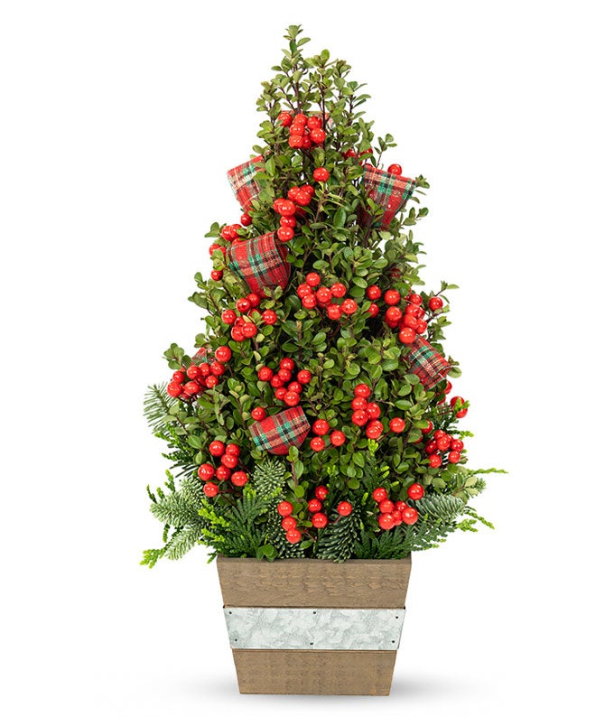 Berries & Boxwood Christmas Tree 