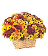 Autumn Garden Blooms at From You Flowers