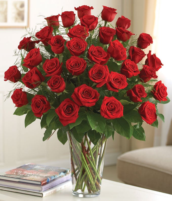 Premium Long Stem Red Roses - 3 Dozen