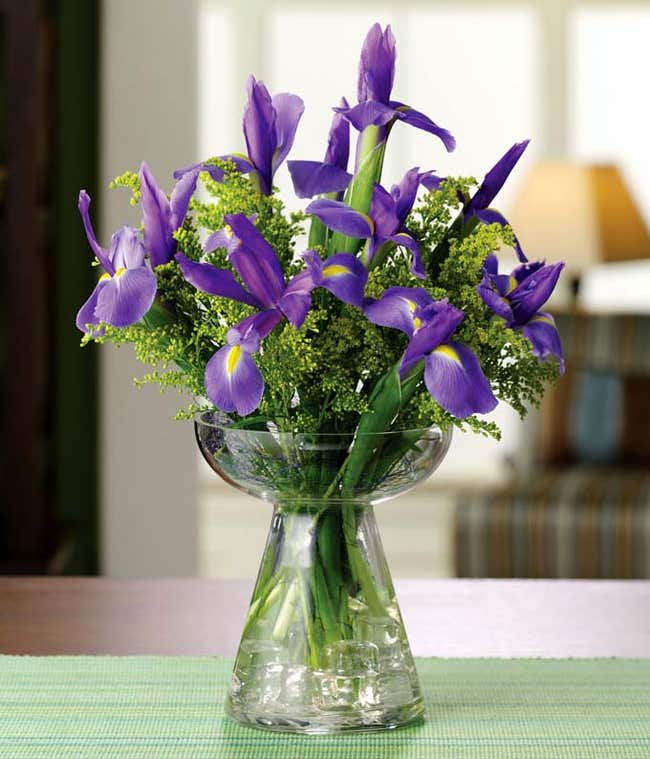 Purple irises and yellow solidago in bud vase