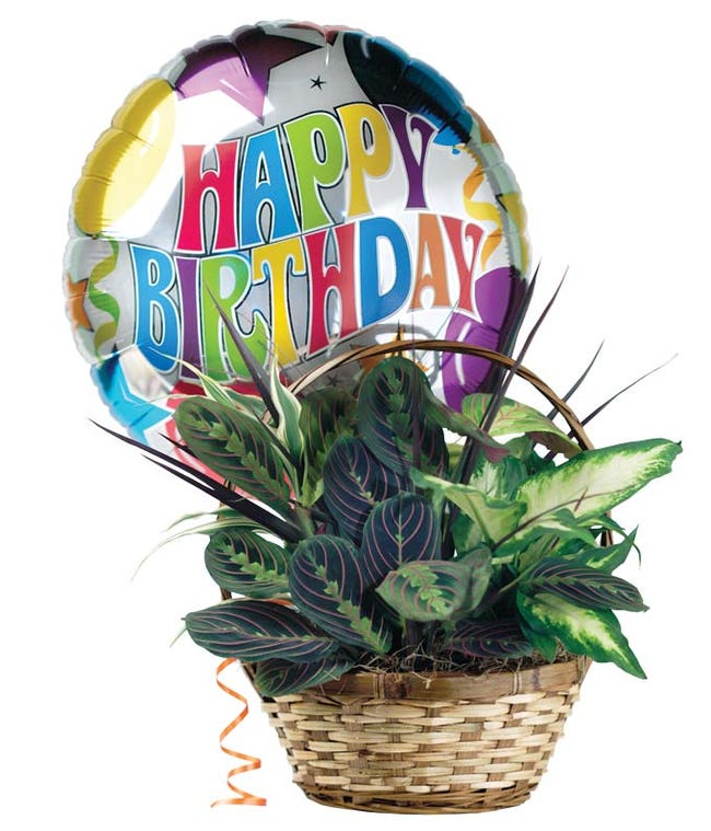 Birthday Gifts for Him | Flowers for Men | FromYouFlowers