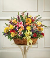  Multicolor Bright Mixed Flowers