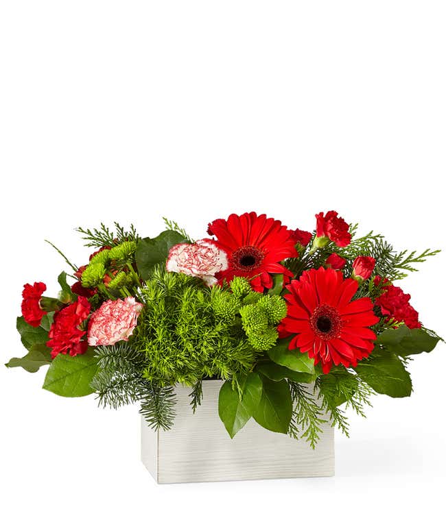 Festive floral arrangement featuring red gerbera daisies, red carnations, peppermint carnations, green button poms, and seasonal greenery arranged in a modern light wood rectangular container.