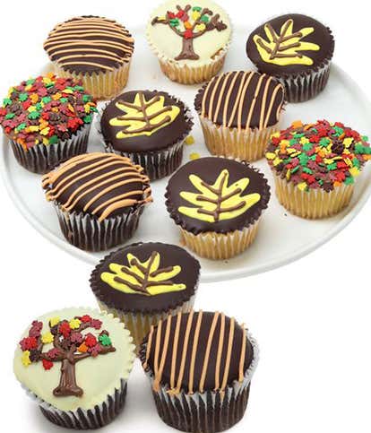 Autumn's Chocolate Cupcakes
