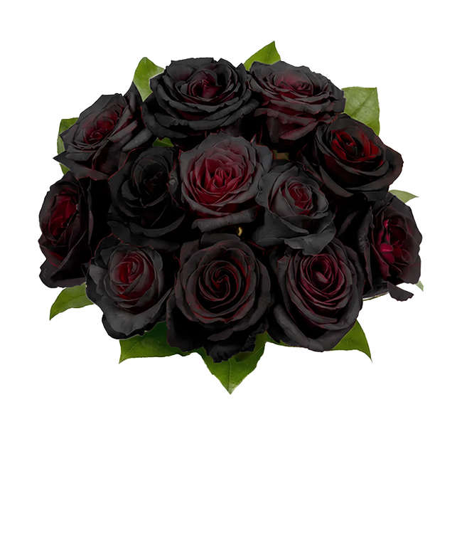 Partial image of Bouquet featuring 12 black Roses, with optional vase and card message, securely packed in a box. without vase.