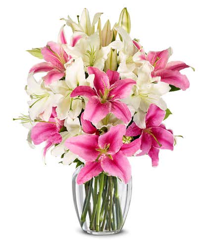 Welcoming Bouquet of Lilies