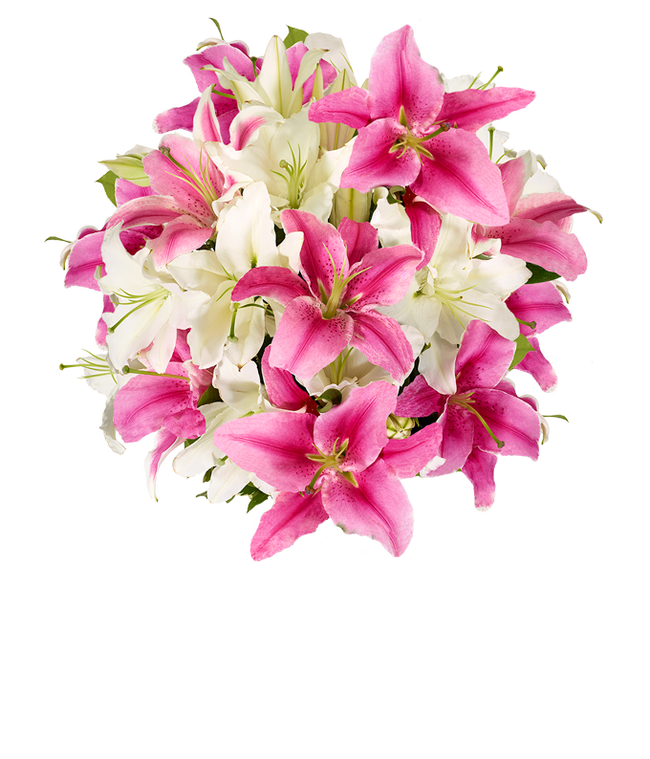 Partial image of Premium bouquet of pink and white lilies with optional elegant glass vase and personalized gift message for a housewarming. without vase.