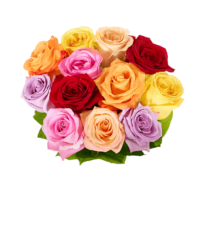 Partial image of Bouquet of one dozen vibrant rainbow roses with optional elegant glass vase and personalized message, perfect for an  without vase.