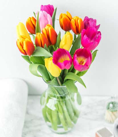 Rainbow Tulip Bouquet - 15 Stems
