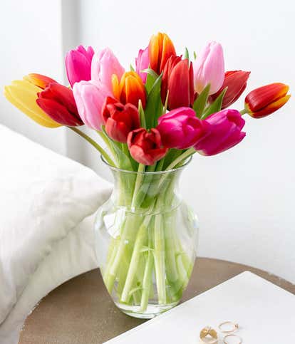 Rainbow Tulip Bouquet - 20 Stems