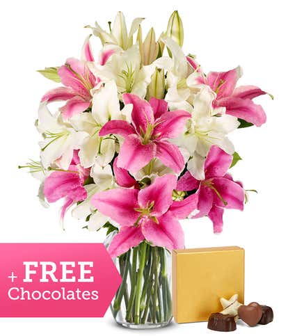 Stunning Pink and White Lilies + Free Chocolate