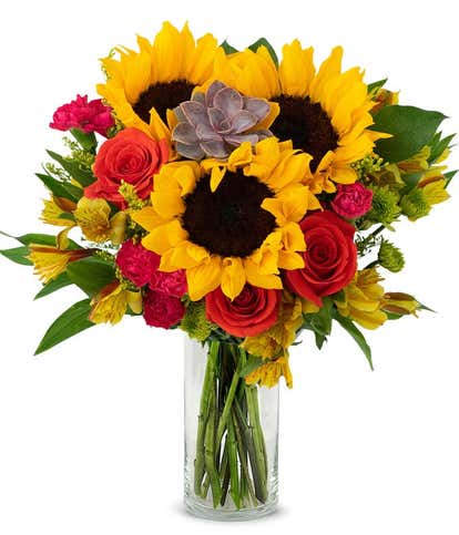 Sweetest Sunflower Succulent Bouquet 