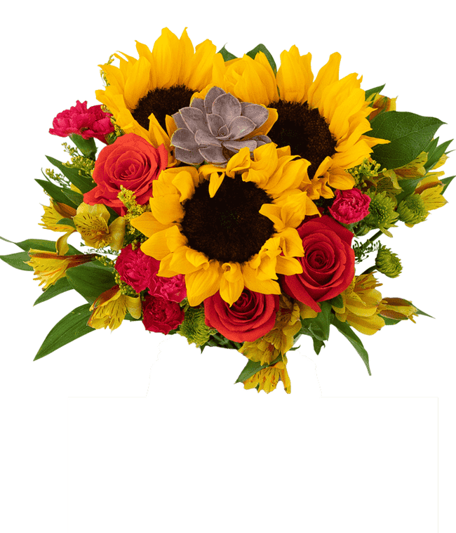 Partial image of Autumn Succulent Bouquet with Sunflowers without vase