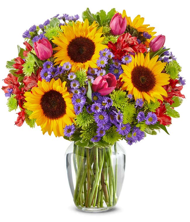 A vibrant arrangement featuring sunflowers, pink tulips, red alstroemeria, purple Monte Casino asters, and green poms, optionally arranged in a glass vase. This lively mix offers a bright and cheerful display.
