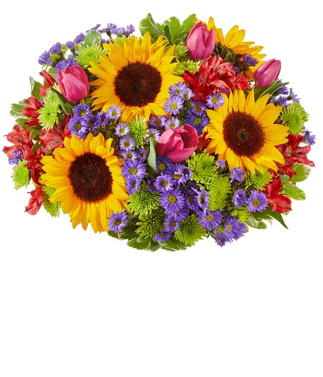 Partial image of A vibrant arrangement featuring sunflowers, pink tulips, red alstroemeria, purple Monte Casino asters, and green poms, optionally arranged in a glass vase. This lively mix offers a bright and cheerful display. without vase.