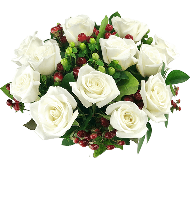 Partial image of One Dozen White Christmas Roses without vase