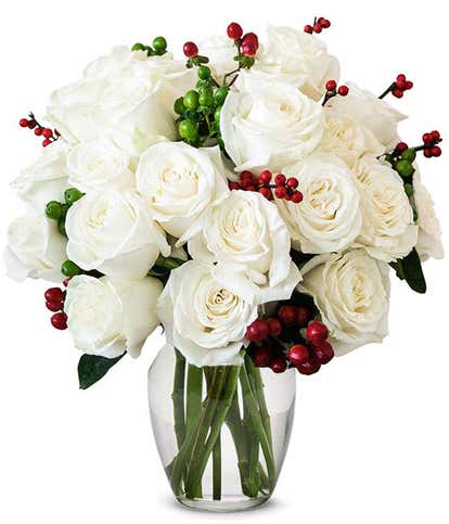 Two Dozen White Christmas Roses