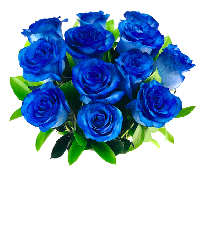 Partial image of One Dozen Blue Jewel Roses without vase
