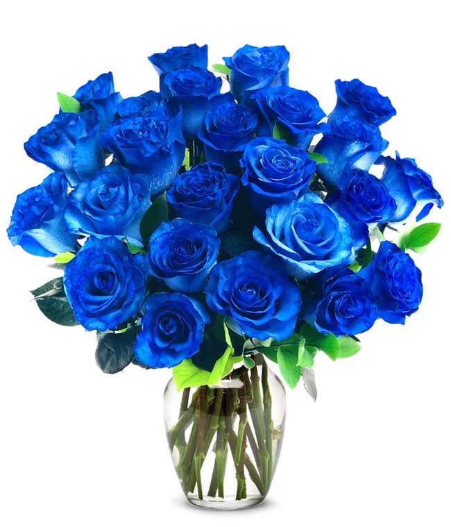 Two Dozen Blue Jewel Roses