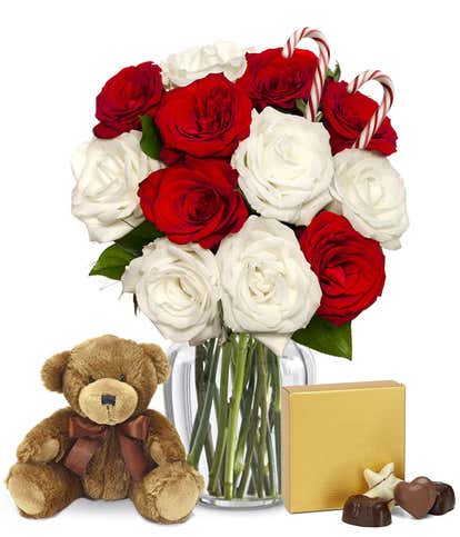 One Dozen Candy Cane Roses with Chocolates and Bear