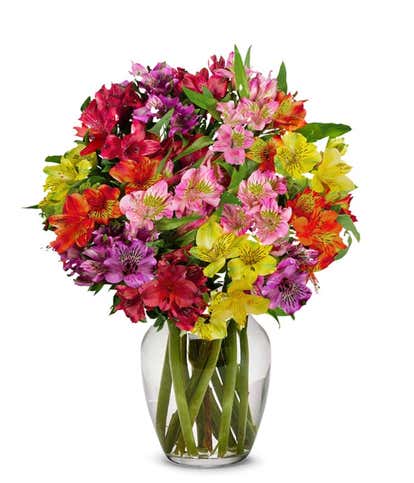 Rainbow Alstroemeria Bouquet 15 Stems