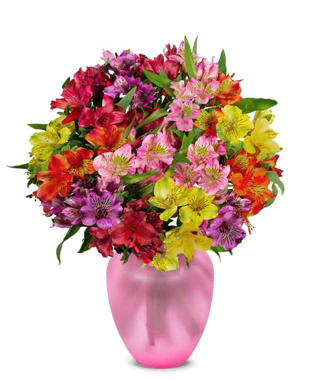 Rainbow Alstroemeria Bouquet 15 Stems