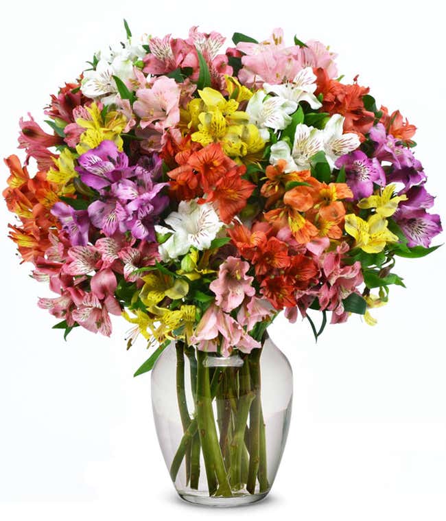 A bouquet of 25 stems of alstroemeria in assorted colors, with an optional vase.